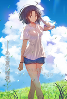 136707