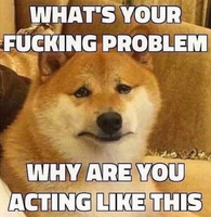 146494