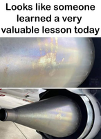 44733