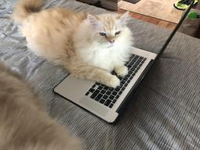 13180