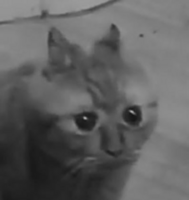 7128